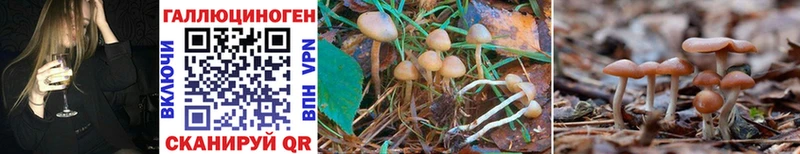 наркошоп Лахденпохья Псилоцибиновые грибы Psilocybe